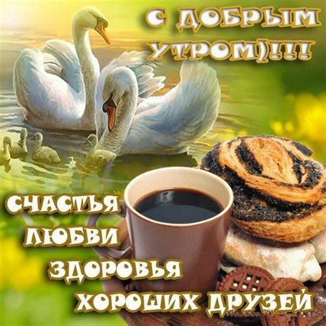Доброе утро хорошей пятницы ⋆ Мегапозитив