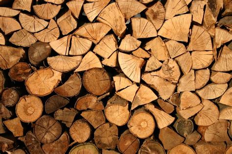 Wood - Energy Education