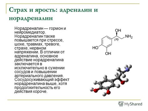 Презентация на тему: "Химия эмоций Дрючина Анастасия Юрьевна I курс Мед ...