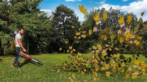 Best Cordless Leaf Blower - Gardeners' Magazine