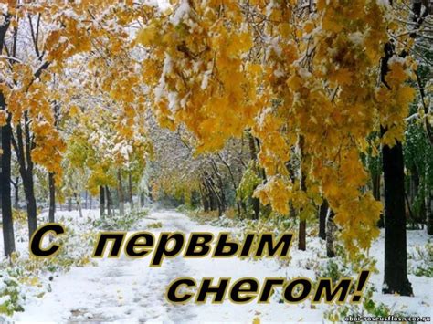 Картинки "С первым снегом!" с надписью (30 фото) 🔥 BipBap.ru
