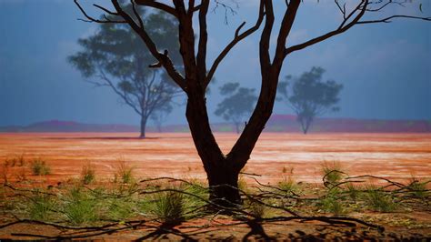 Acacia tree in African savannah 7547466 Stock Video at Vecteezy