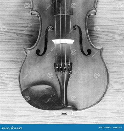 Black And White Violin Stock Photo - Image: 52145375