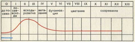 Борьба с сорняками рапса