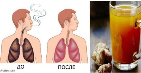Очистить легкие можно всего за 3 дня! - Счастливые заметки