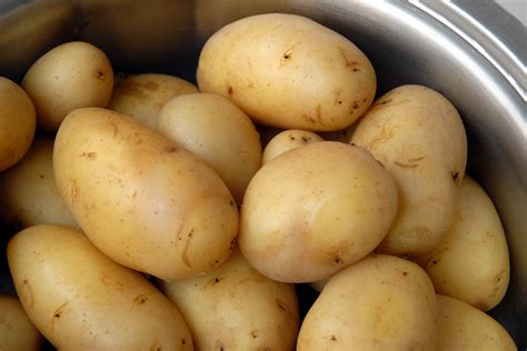 Ранний сорт картофеля: Суперранние сорта картофеля: виды и сорта