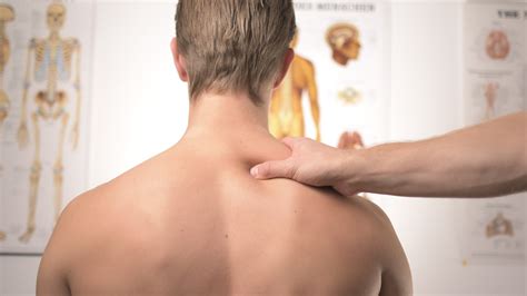 Body Basics: How is Information Shared by the Body? | Thorne