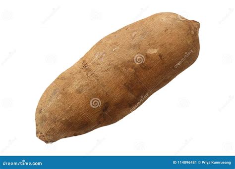 Yacon Fruit And Yacon Fruit Slice Isolate On White Background, Clipping ...