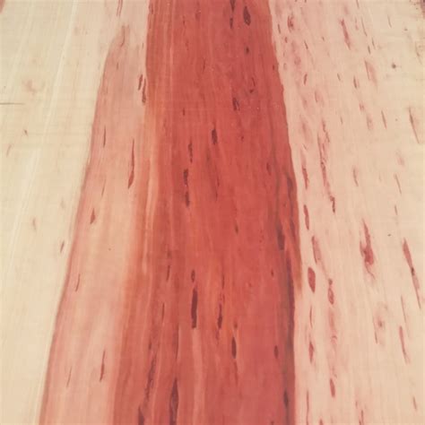 Kruška natur suha 10% | Wood.hr