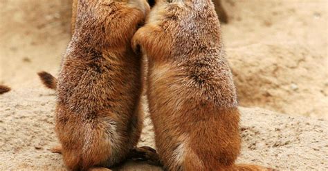 What's in a Kiss? | Psychology Today Singapore