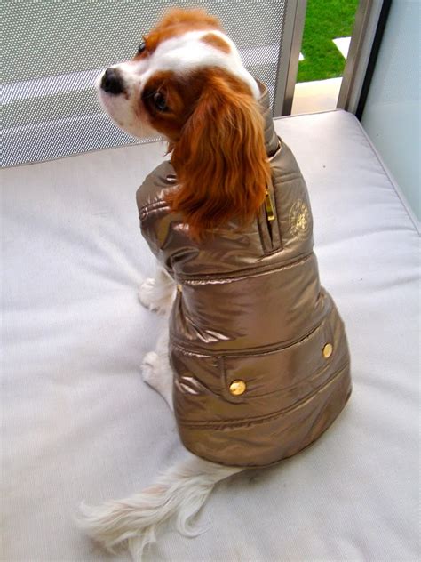Sublime! my dog : notre commande - Baikasblog