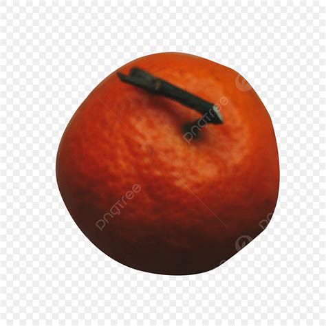 orange element png picture orange arc oranges food elements orange