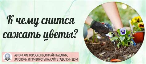 Сонник: сажать цветы