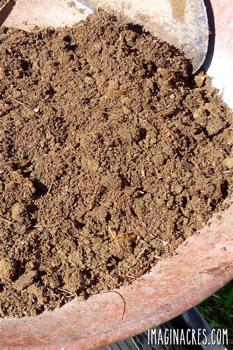 Chicken Manure Compost: How to Safely Turn Coop Waste into Garden
