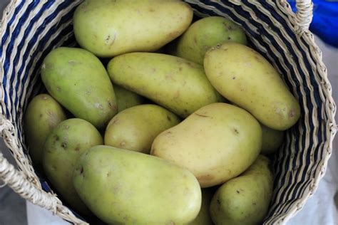 green   green   potato  vickie