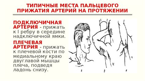 ТЕМА «КРОВОТЕЧЕНИЕ» Виды кровотечений. Внутреннее кровотечение,