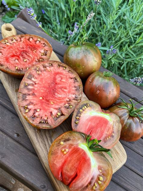 Черное сердце Америки – Tomatinсa.ru