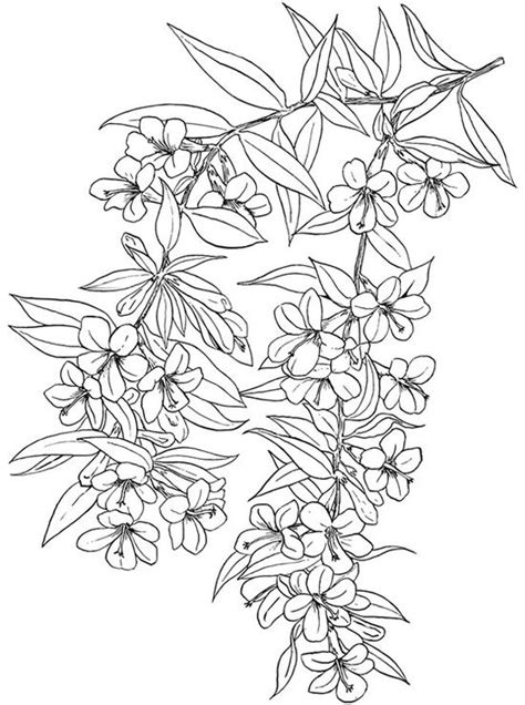 Пин от пользователя Brujan Alina Maria на доске SUPER FLOWER ...