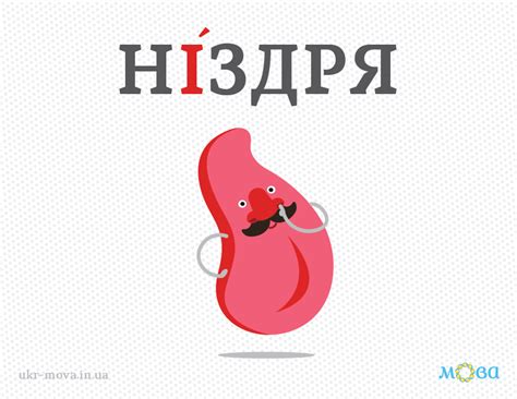 Наголос у слові «ніздря» | Ukrainian language, Foreign language ...