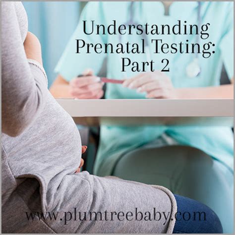 prenatal testing part  plumtree baby