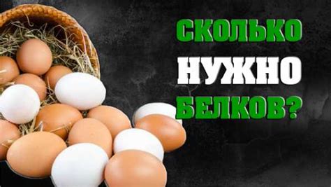 Сколько нужно белка на 1 кг веса – Сколько грамм белка в сутки нужно ...