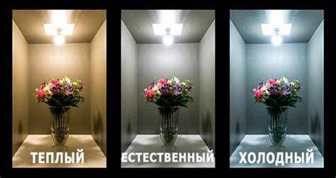 Как выбрать светодиодный прожектор: рейтинг, какой лучше
