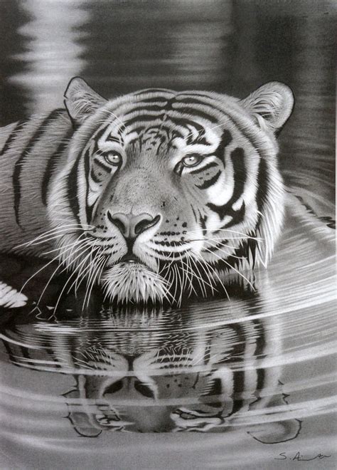 50 Amazing Pencil Drawings 2023