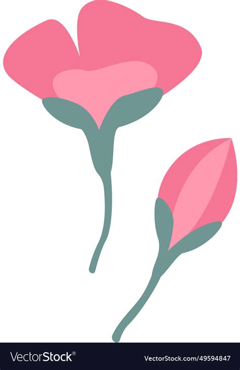 flowers  stem royalty  vector image vectorstock