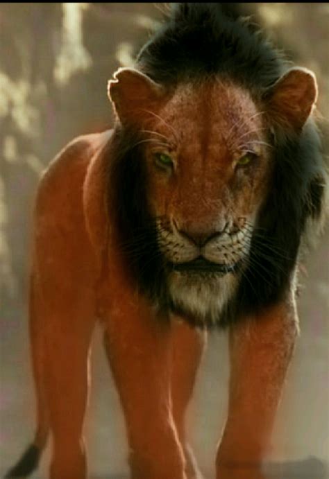 Scar Lion King Cartoon And Live Action Cast Side By S - vrogue.co
