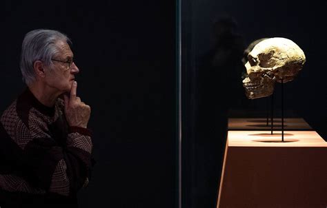 Homo sapiens е невинен за изчезването на неандерталците! Вижте каква е ...