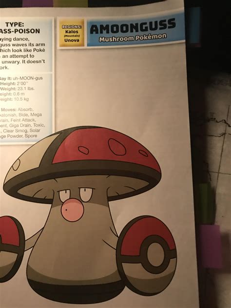 This photo is sus : r/pokemon