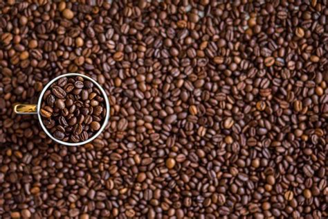 ЗЕРНОВОЙ КОФЕ — ВЕНДИНГОВАЯ КОМПАНИИ САННИ