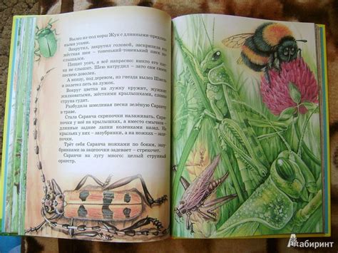 Книга: Большая книга сказок - Виталий Бианки. Купить книгу, читать ...