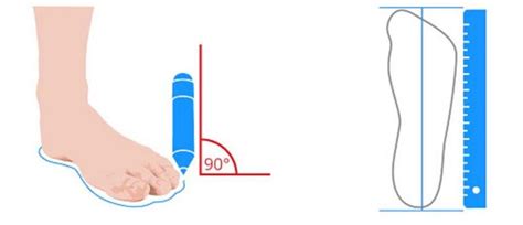 Как мерить длину стопы правильно? - Parentchild.ru