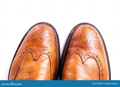 Elegant Gentleman Leather Shoe Stock Image - Image of business, elegant ...