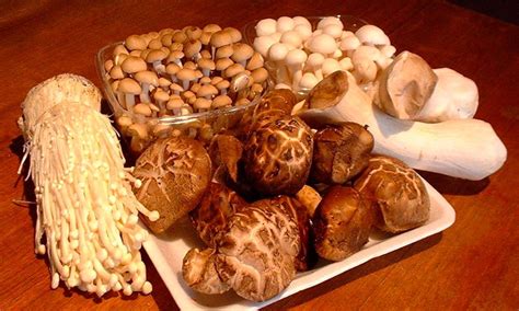 Китайские грибы - самые популярные, описание и рецепты