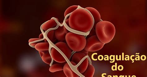 O Que Coagula O Sangue - Sangue Coagulado E Perigoso - NAZAEDU