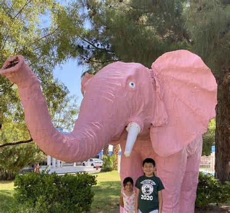 The Pink Elephant in Las Vegas, NV (10 Photos)