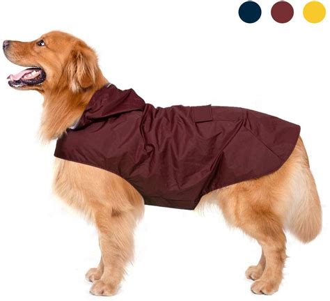 Find The Best Waterproof Dog Coats UK - WebNuggetz.com | WebNuggetz.com