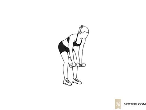 Bent Over Lateral Raise | Illustrated Exercise Guide