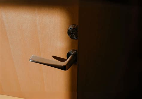 Brushed Nickel Door Handles | Digital Organics