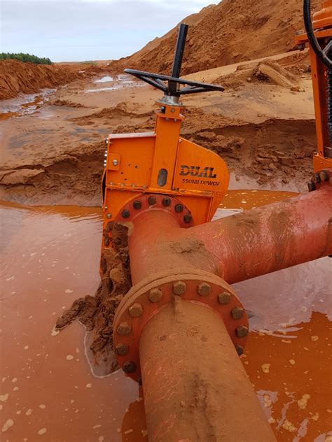 pivot gate valves dual valves