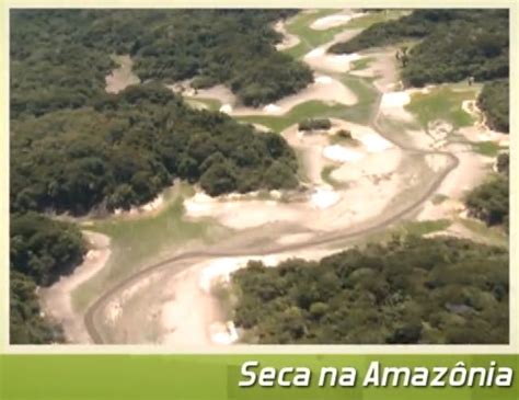 Floresta Amazônica não se adapta ao aumento das secas