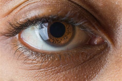 human eye close       human eye close