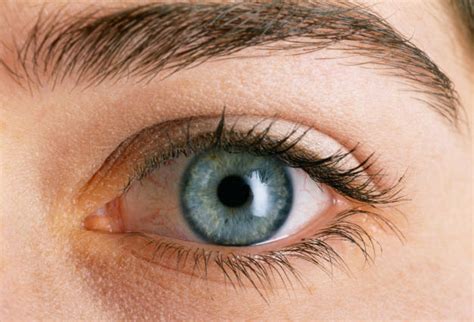 eyes     health