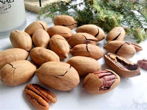 Пекан орех в скорлупе жареный NUTS_BAR 250 г от продавца: First United ...