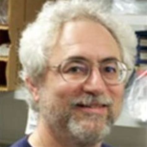 Steven H. Green | Interdisciplinary Graduate Program in Neuroscience