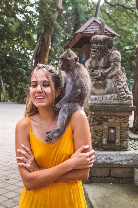 bali   weeks travel itinerary planes viajeros