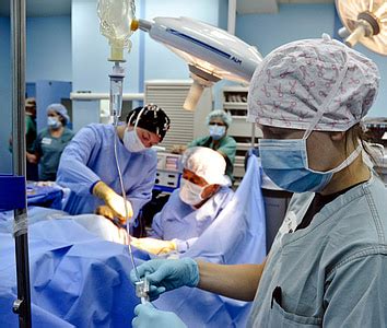 Free photo: the brain, medical science, surgery, hospital, the body of ...