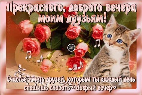 Гифки добрый вечер друзья с пожеланиями красивые | Giffs.ru